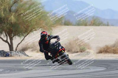 media/Oct-13-2025-Moto Forza (Mon) [[a66d839500]]/3-B Group/Session 4 Turn 4 Tree of Life/